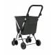 Carro compra We Go antracite Play