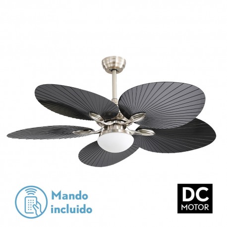 Ventilador techo luz Chaw niquel negro