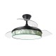 Ventilador techo luz Moda 108D Negro/Hoja Verde