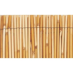 Cañizo bambu natural