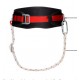 Cinturon seguridad 25C Profer top