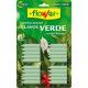 abono clavo plantas verdes