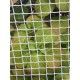 malla plastico blanca 5x5