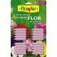 abono clavos plantas flor