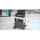 Barbacoa gas xpert 200 l campin gaz
